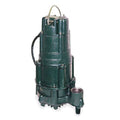 Sump & Effluent Double Seal Pump 1.0 HP 115V Automatic C624320