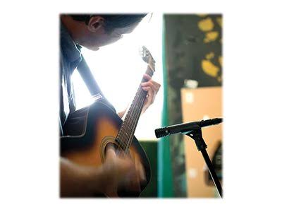 Black Metallic Cardioid Microphone G74952