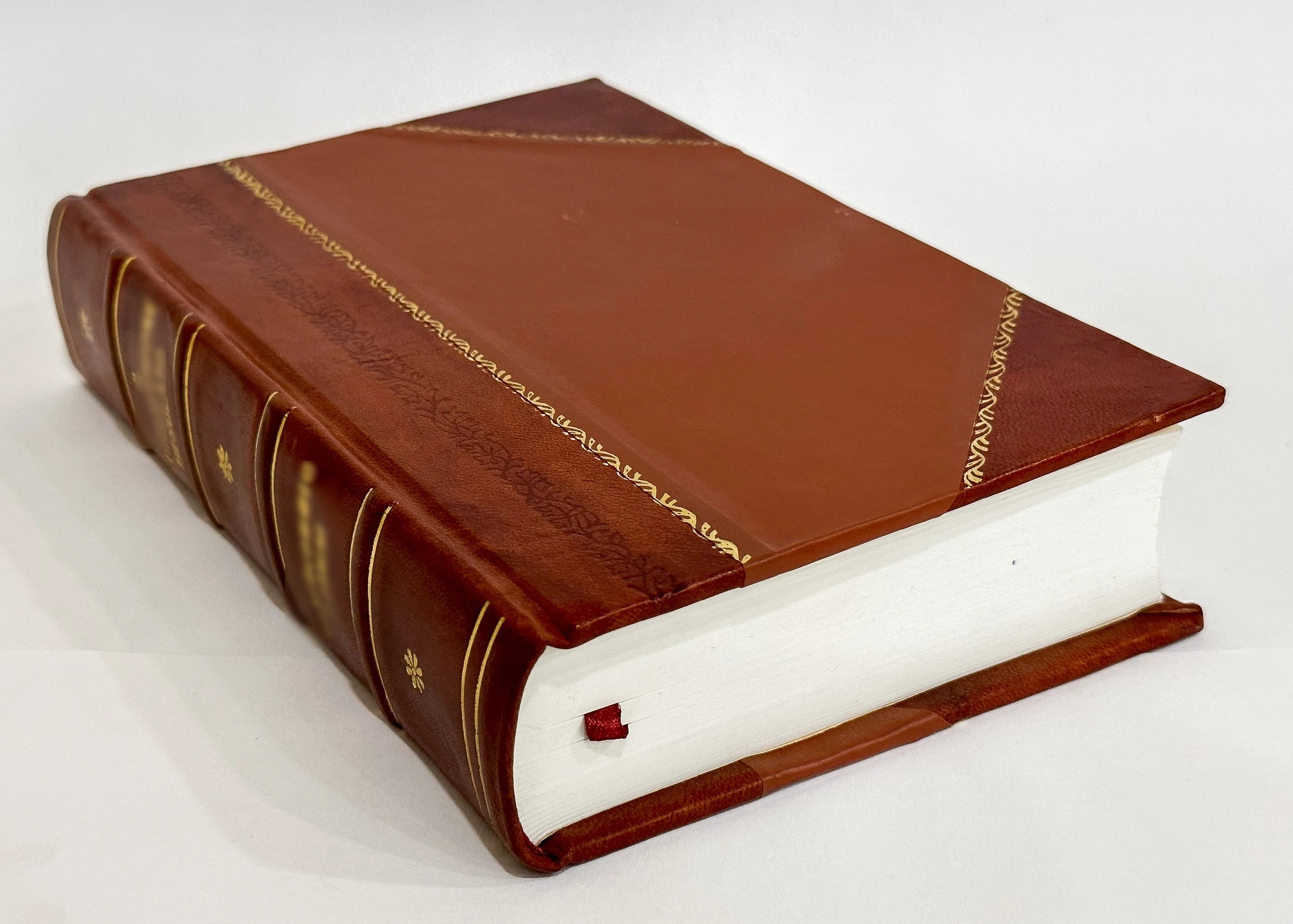Leather Bound Book Y93675