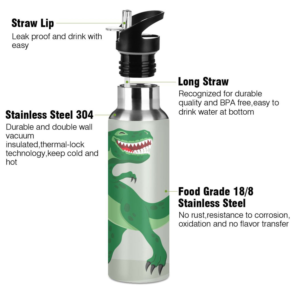 Stainless Steel Vacuum Insulated Water Bottle with Straw Lid 20 OZ Y9299