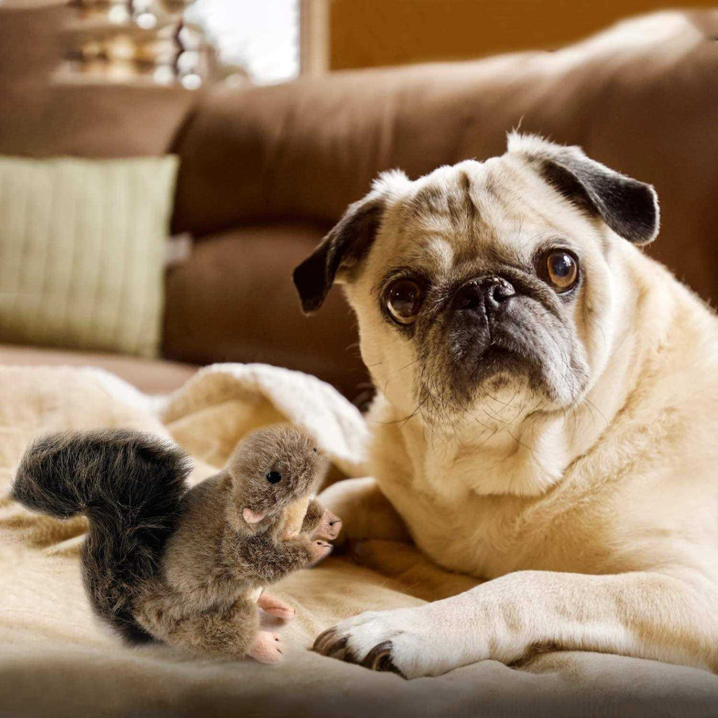Pet Squirrel Plush Toys X3261
