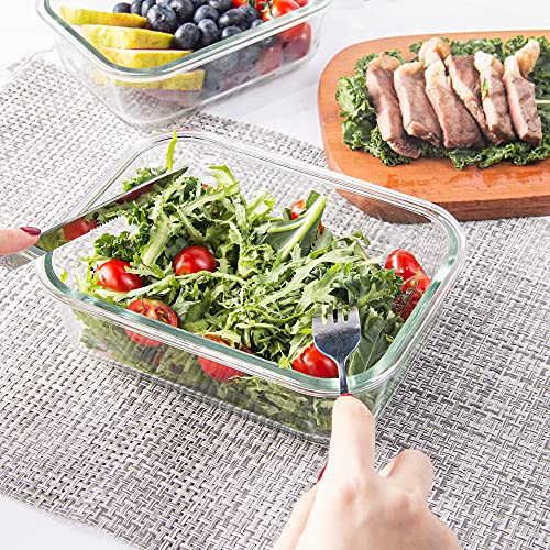 10 Pack Glass Food Storage Containers with Lids, Airtight, Leak Proof, Microwave & Freezer Safe (34oz & 12oz) M757