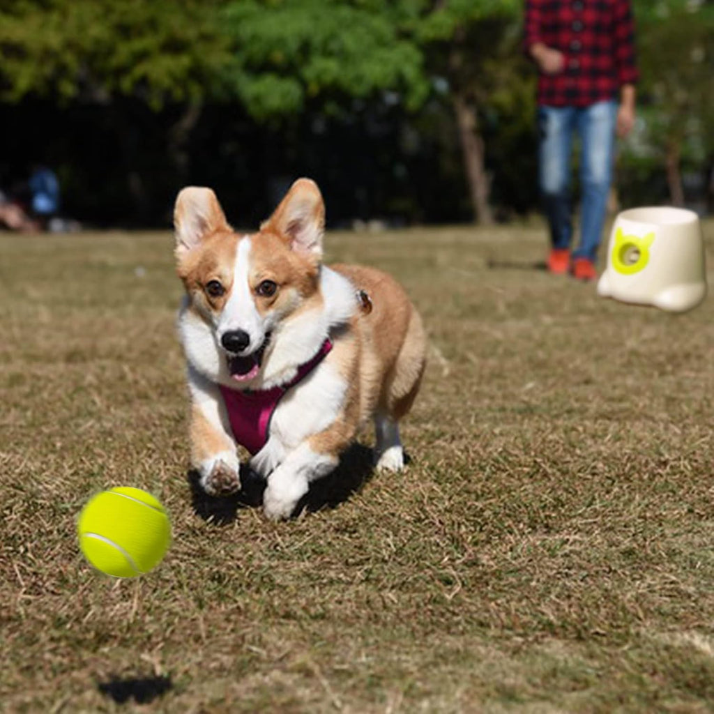 6 Pcs 1.97" Diameter Mini Tennis Balls for Dogs Z9345