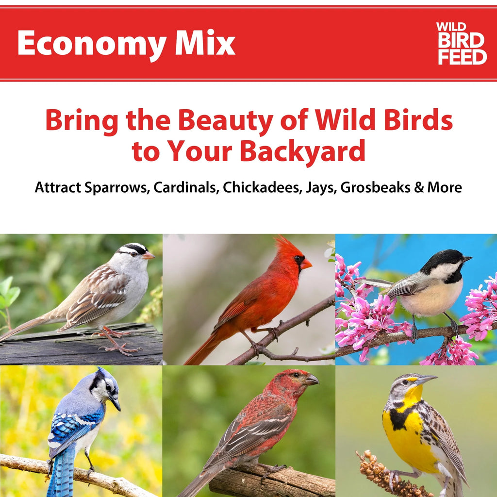 20 lb. Wild Bird Feed Y9989