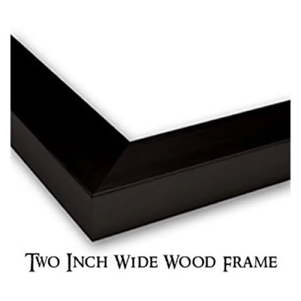 Black Modern Framed Museum Art Print T834