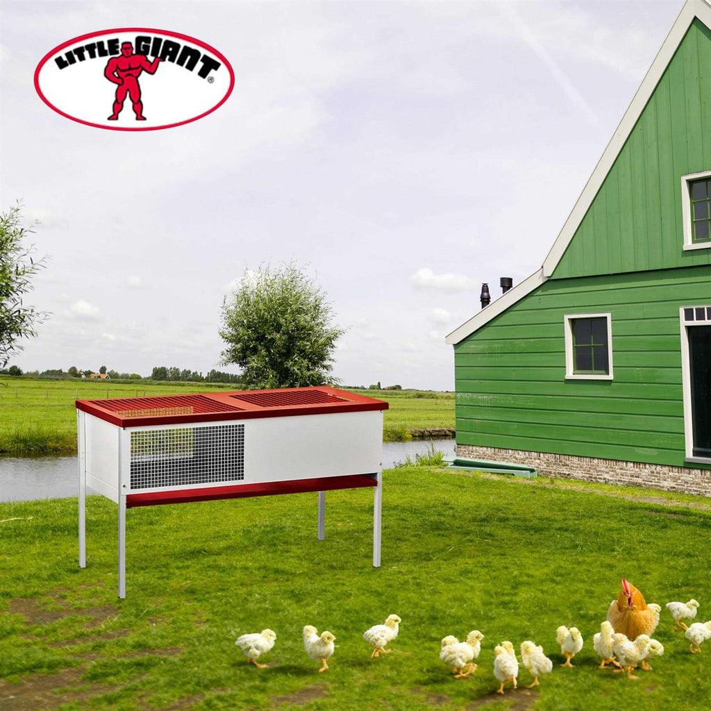 Galvanized Chick Brooder Box W523