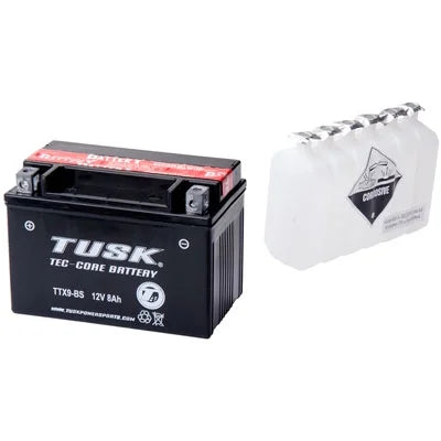 Maintenance-Free Battery TTX9BS T616