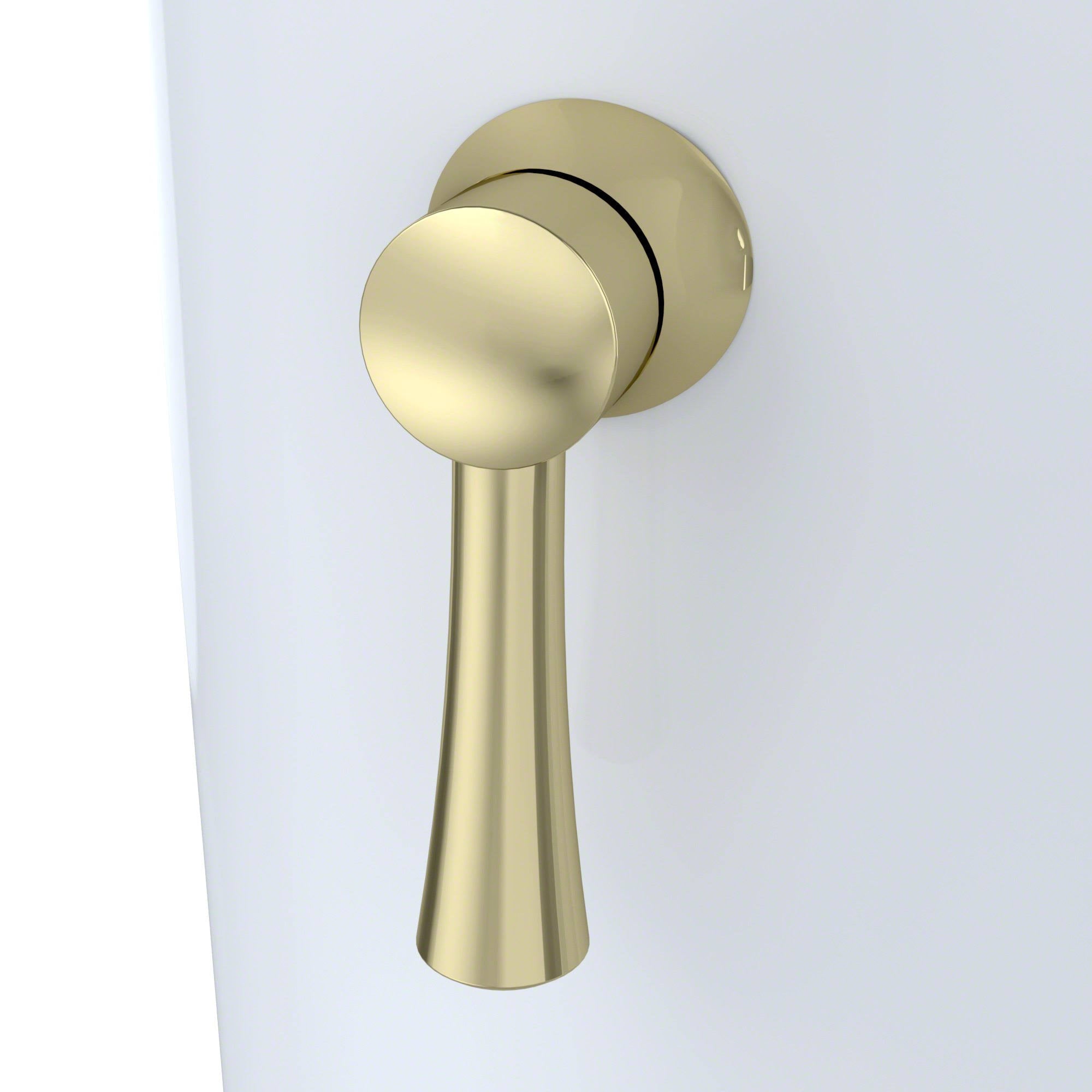 Polished Brass Trip Lever C351110