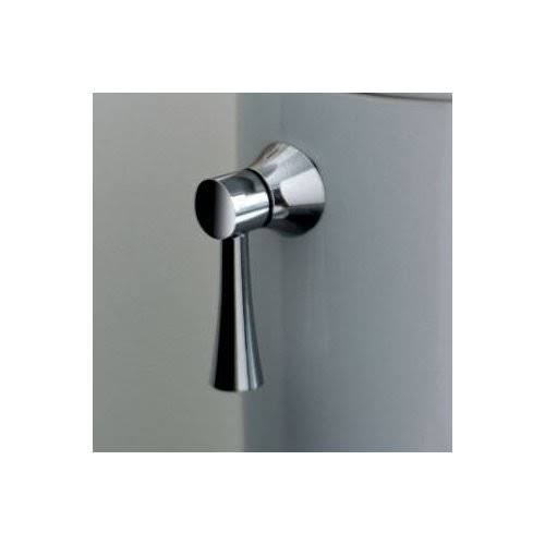 Polished Brass Trip Lever C351110
