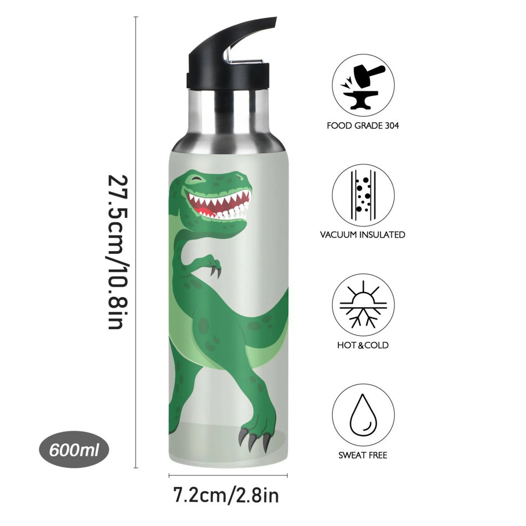 Stainless Steel Vacuum Insulated Water Bottle with Straw Lid 20 OZ Y9299
