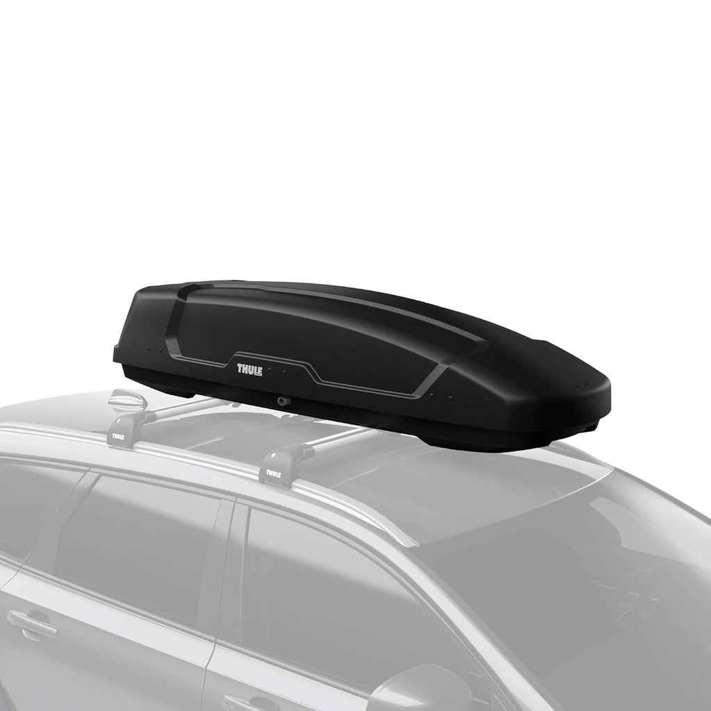 Large Rooftop Cargo Box F29013