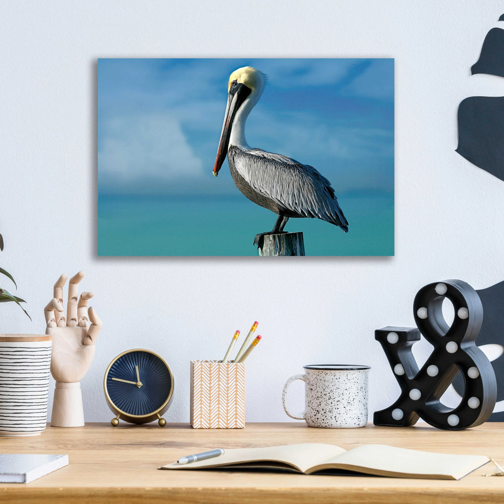 Acrylic Glass Wall Art, 16"x12" H463625