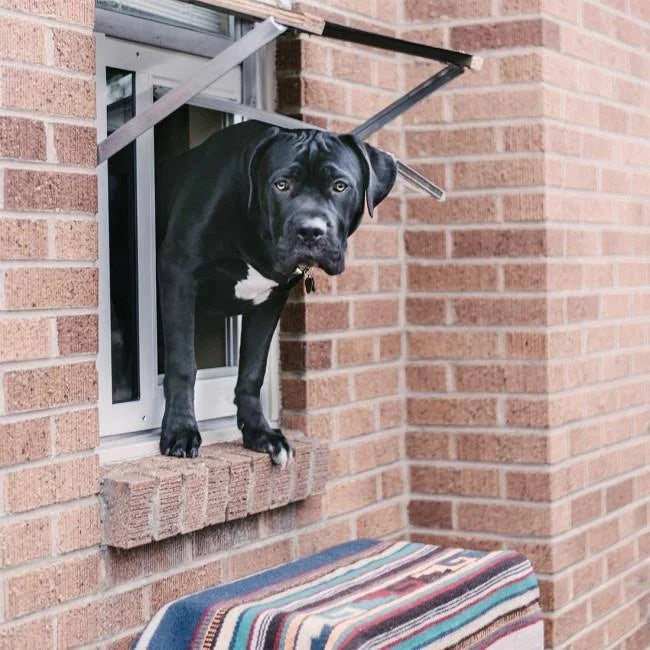 White Large Pet Door O1806