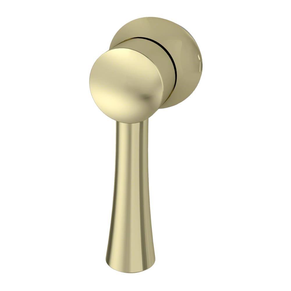 Polished Brass Trip Lever C351110