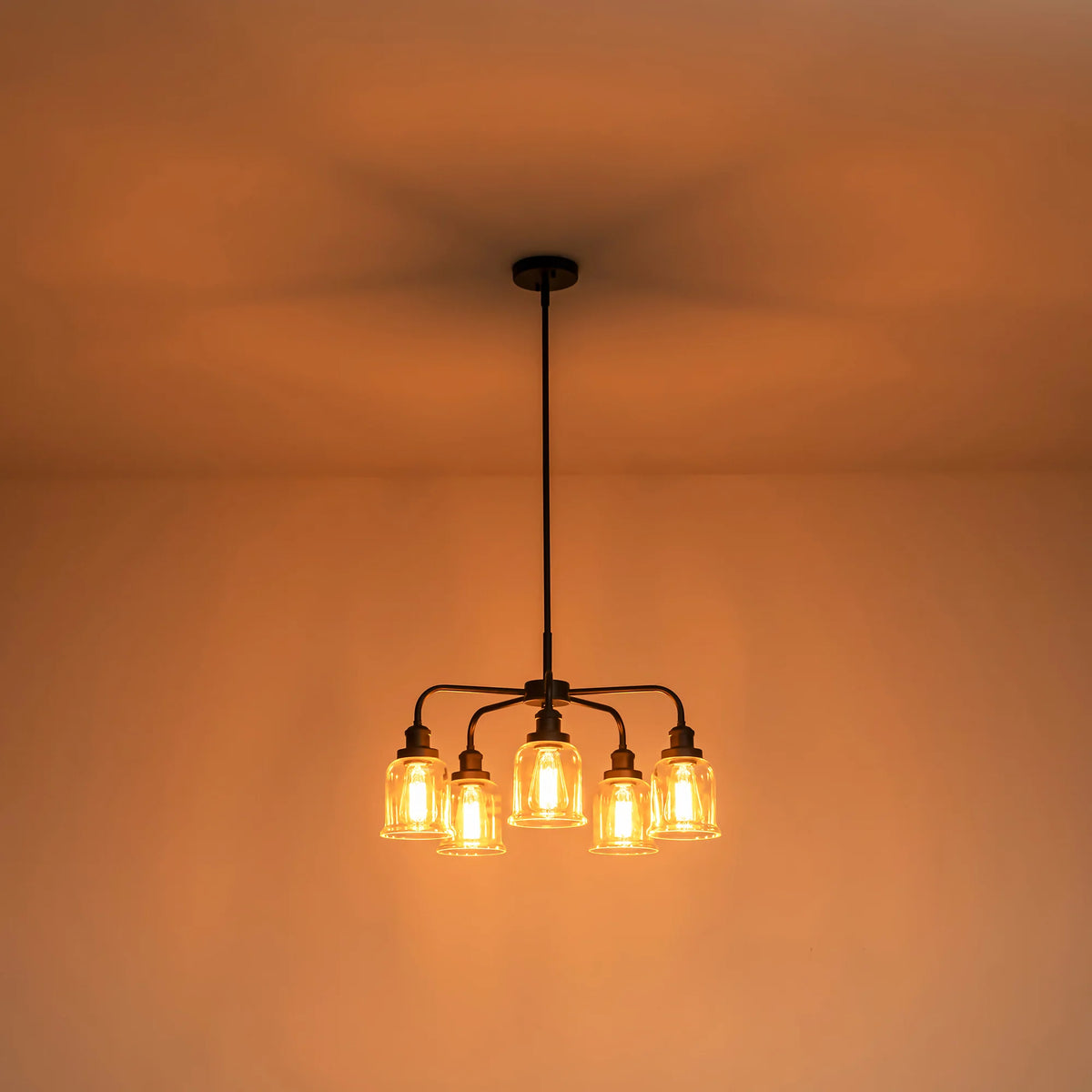5-Light Dimmable Glass Farmhouse Chandelier J513