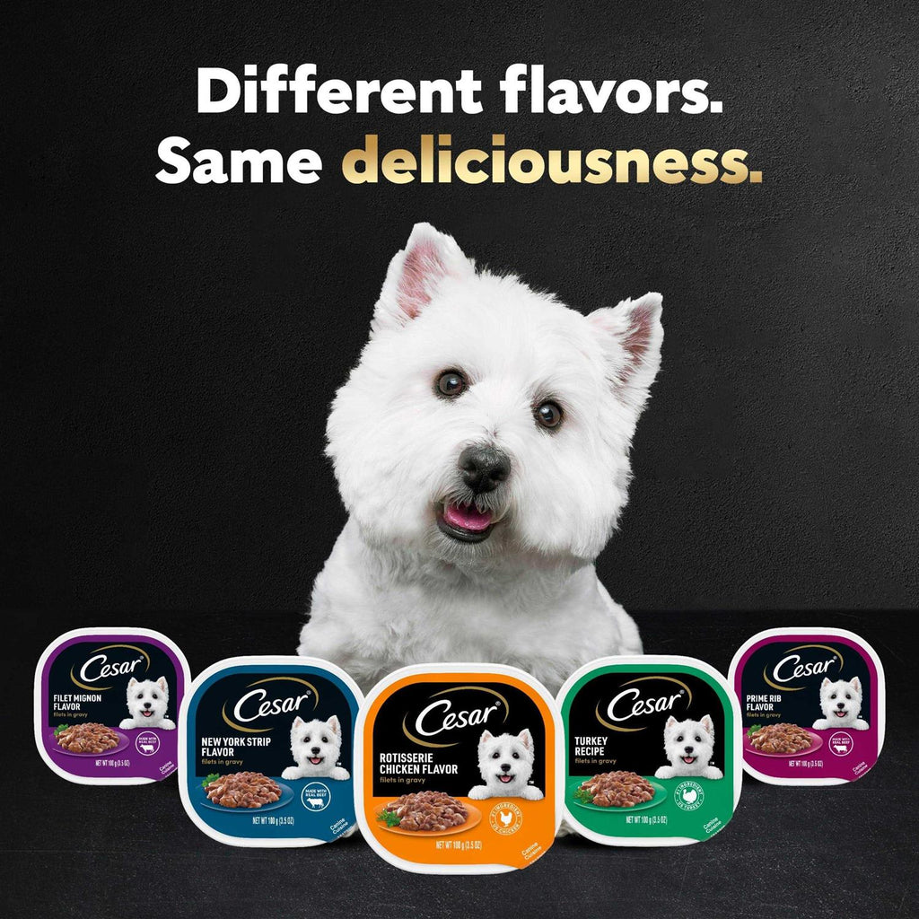 Gourmet Filets in Sauce Filet Mignon Dog Food I61248