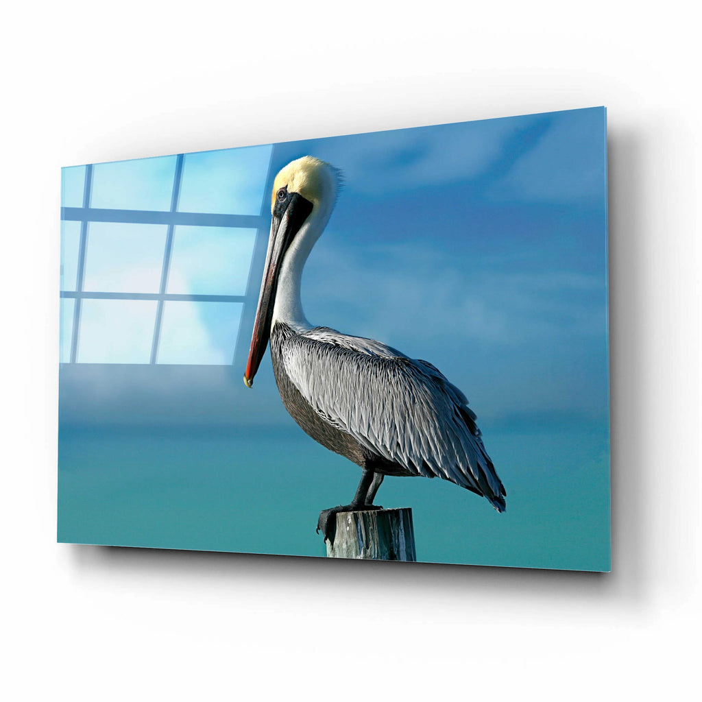 Acrylic Glass Wall Art, 16"x12" H463625