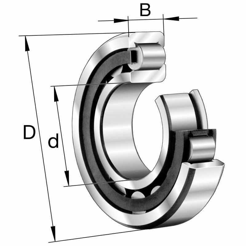 Cylindrical Roller Bearings Y573