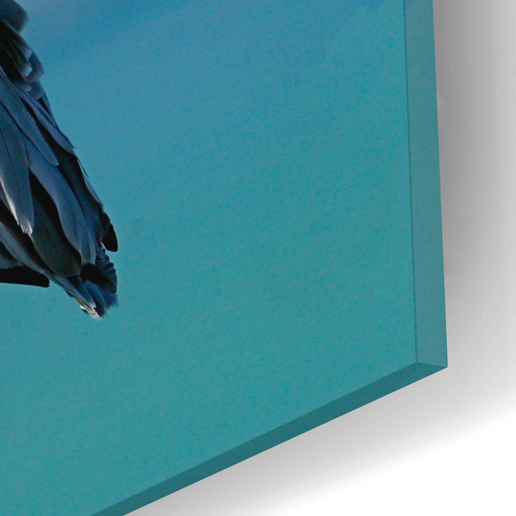 Acrylic Glass Wall Art, 16"x12" H463625