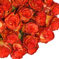 Bicolor Yellow and Red Roses 50 Stems L845087