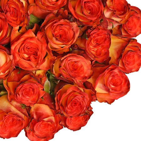 Bicolor Yellow and Red Roses 50 Stems L845087