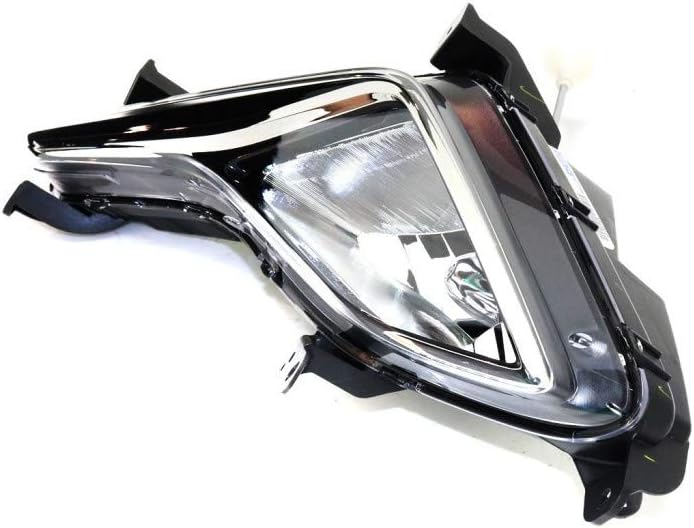 Fog Light Assembly Passenger Side with Bulbs L8898