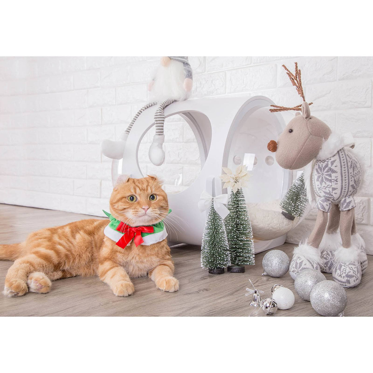 White Pet Bed J103257