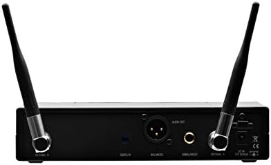 Wireless Microphone System V369784
