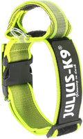 Neon-Gray Collar with Handle W763514