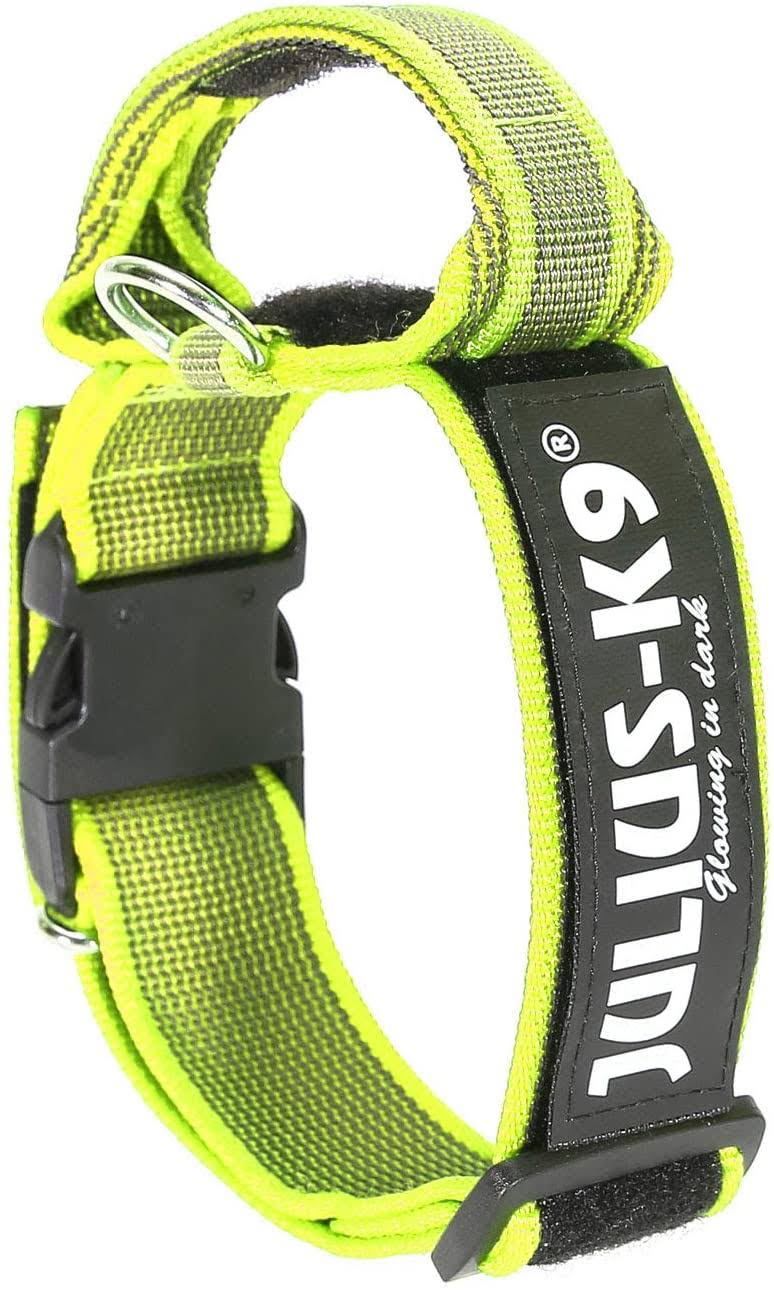 Neon-Gray Collar with Handle W763514