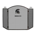 Fireplace Screen Z757