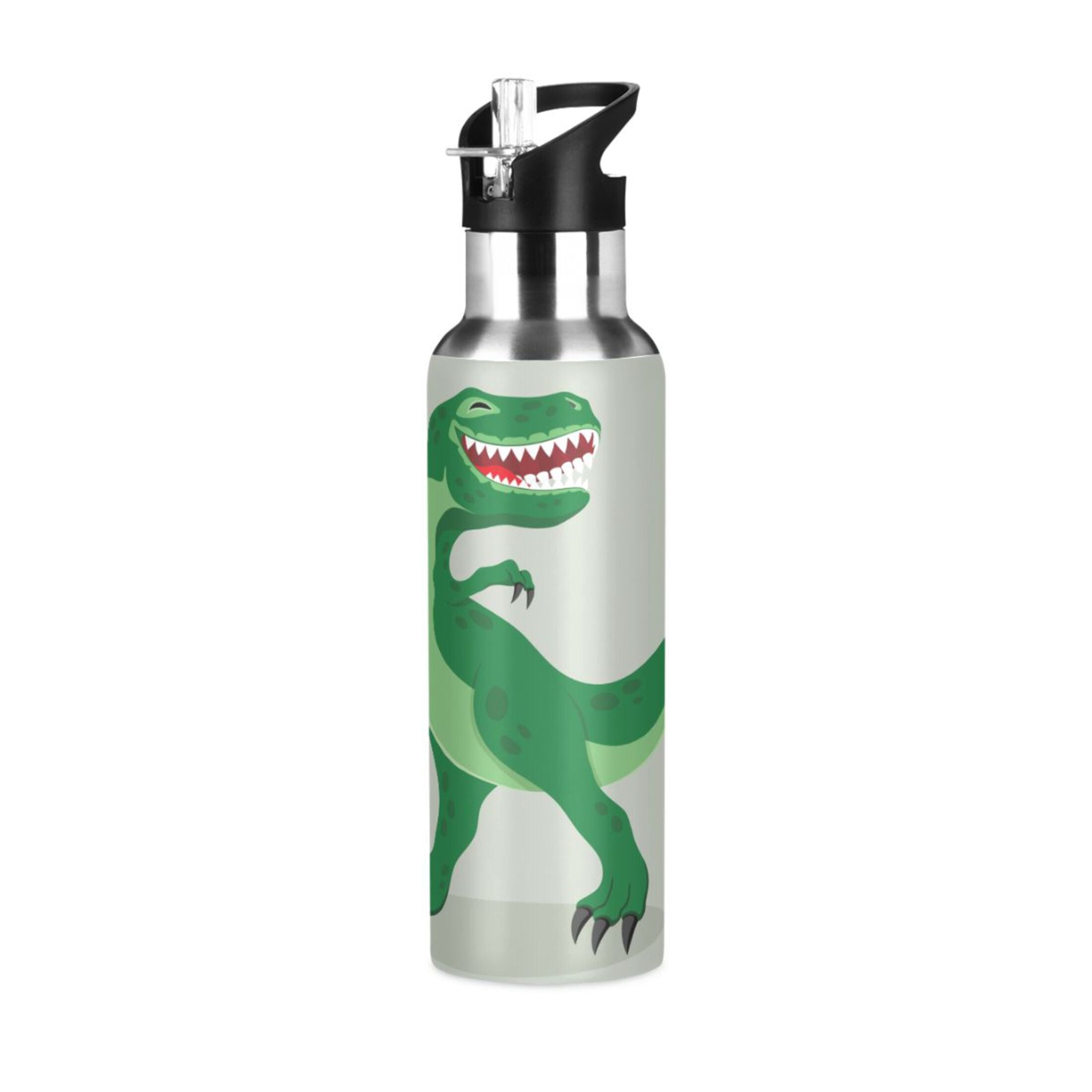 Stainless Steel Vacuum Insulated Water Bottle with Straw Lid 20 OZ Y9299