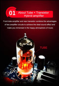 Tube Headphone Amplifier Line Out Pre-Amp A52956