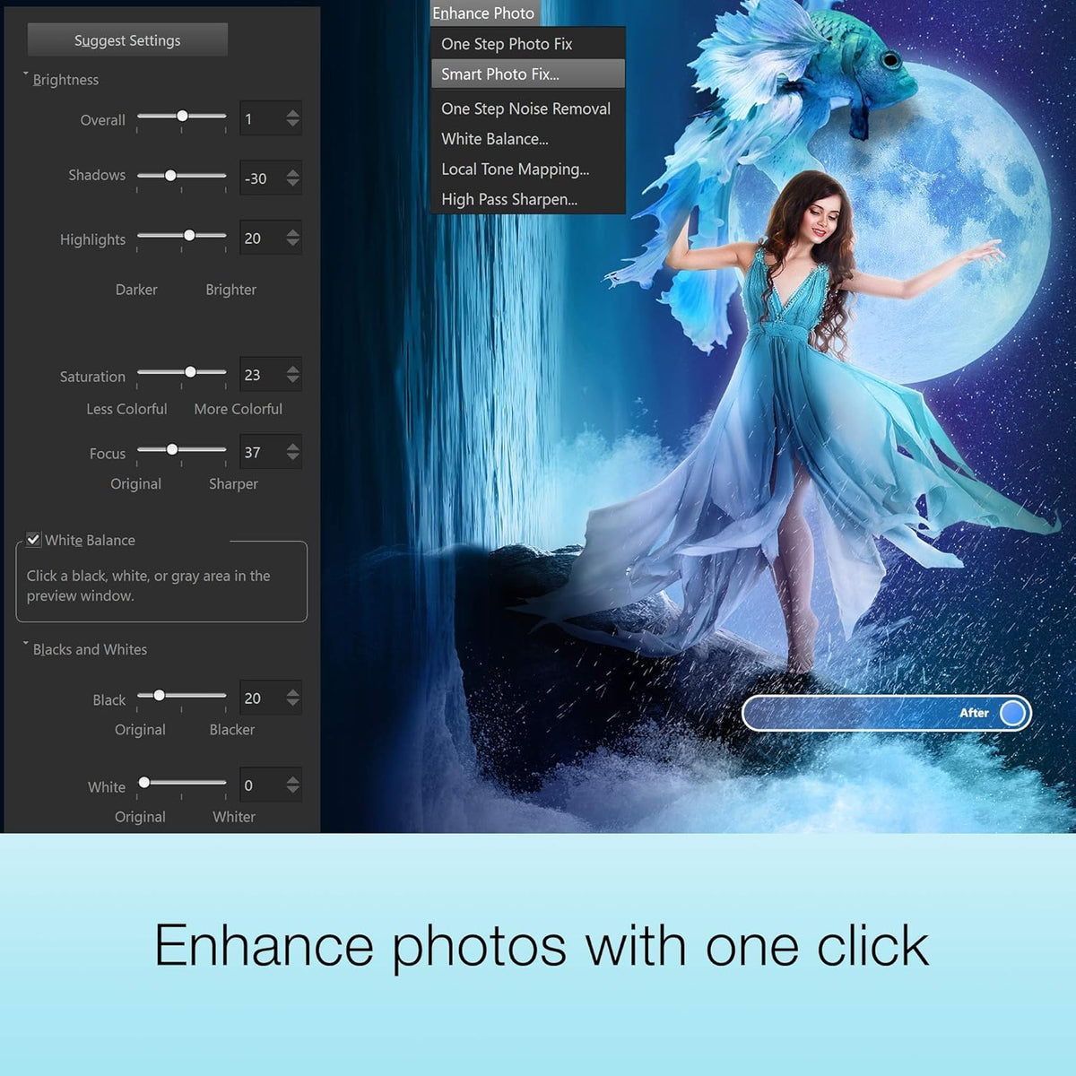 PaintShop Pro 2021 Ultimate Photo Editing Software [PC Disc] A763022